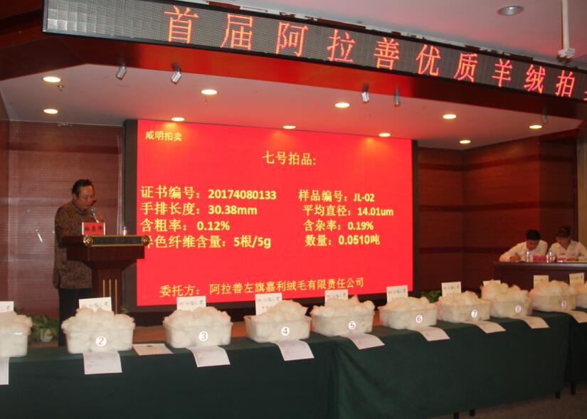 創(chuàng)新引領(lǐng)未來(lái)，品質(zhì)鑄就輝煌 首屆阿拉善優(yōu)質(zhì)羊絨拍賣會(huì)盛大舉行