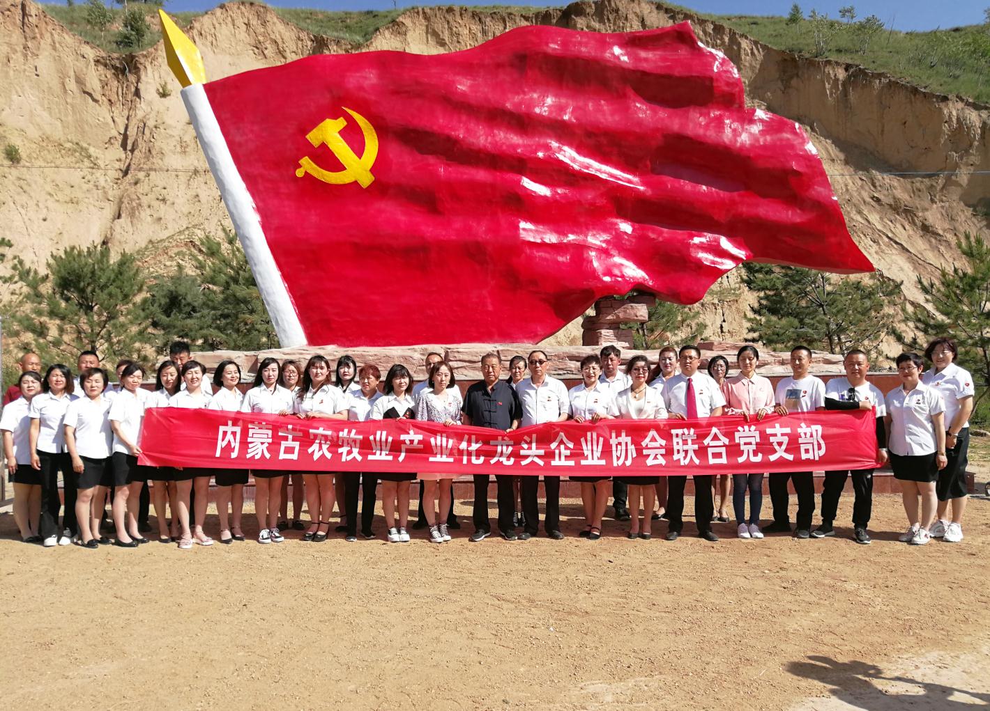 內(nèi)蒙古農(nóng)牧業(yè)產(chǎn)業(yè)化龍頭企業(yè)協(xié)會(huì)走進(jìn)石人灣村開(kāi)展“辦實(shí)事、解難題，送溫暖，傳黨恩”公益活動(dòng)